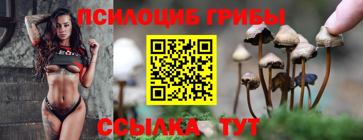 Псилоцибиновые грибы Psilocybine cubensis  Галлюциногенные грибы прущие грибы  Кропоткин  Вход с VPN 